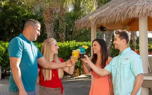Turtles Pool & Beach Bar Turtles Pool & Beach Bar